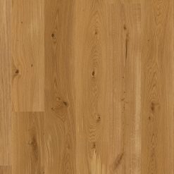 Oak Animoso