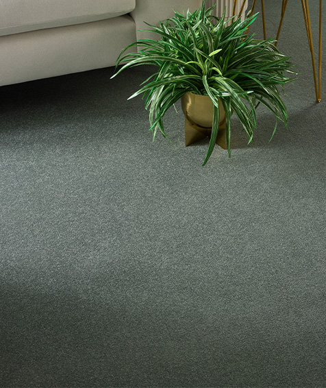 imageye___-_imgi_5_Twist-Basil-6-1.png