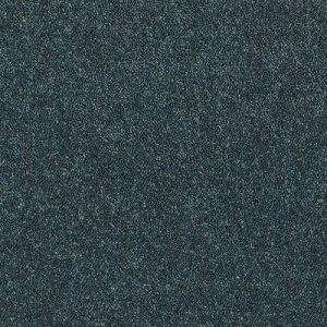 Hague Blue