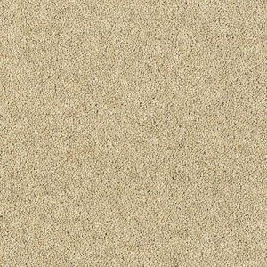 Drop Cloth