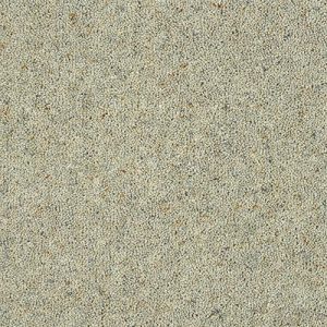 Dove Grey