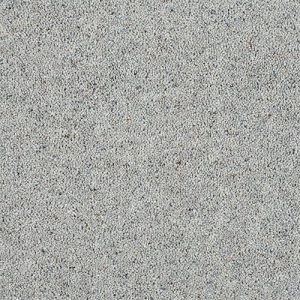 Dolphin Grey