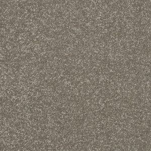 Abingdon Maximus – Velvet Crush flooring sample