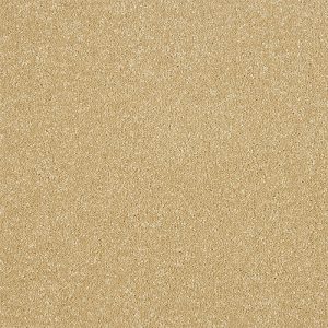 Abingdon Maximus – Honey Gold flooring sample