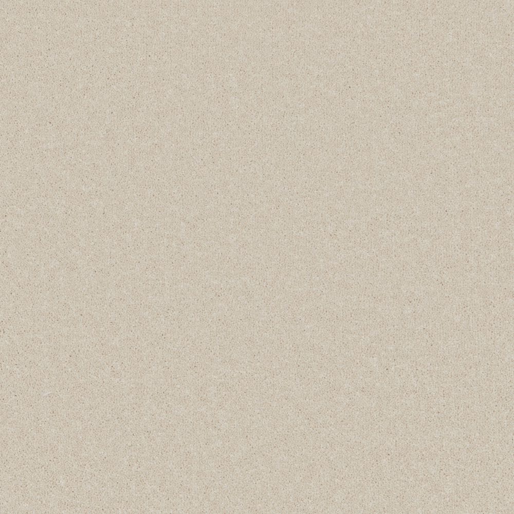 carefree ultra clotted cream 2024 09 09 091355 jarp.jpg Furlong Carefree Ultra – Clotted Cream flooring sample
