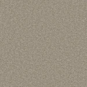 Classic Taupe