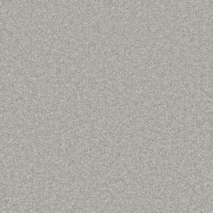 Silver Fleece