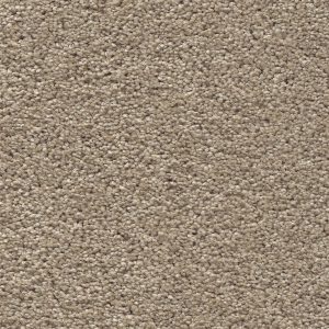 Blonde Oak