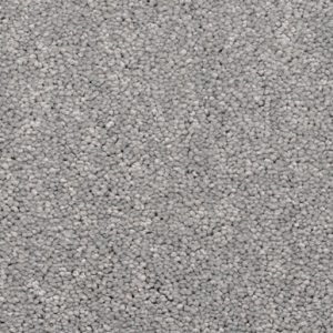 Gray Glimpse