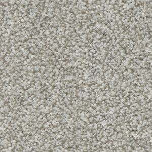 Elephant Dust