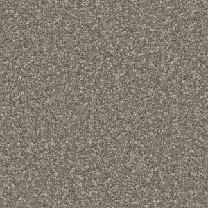 Cinder Grey