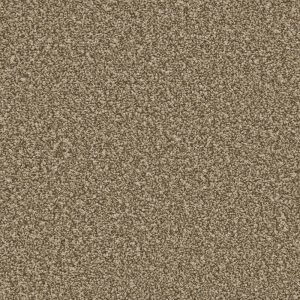 Cork Oak