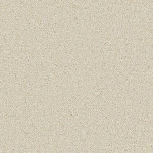Soft Chamois