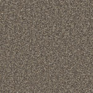 Cormar Kingston – Molasses flooring sample