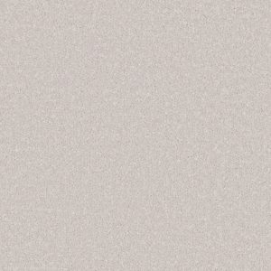 Alloy Grey