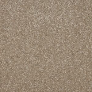Cambrian Stone