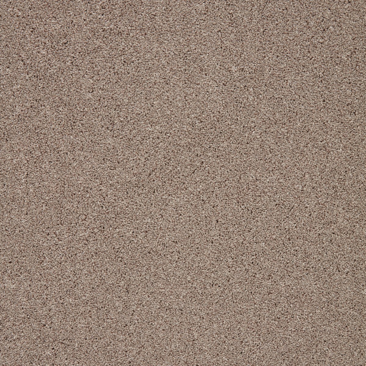 mfa cormar trinbisc 0 Cormar Trinity – Biscuit flooring sample