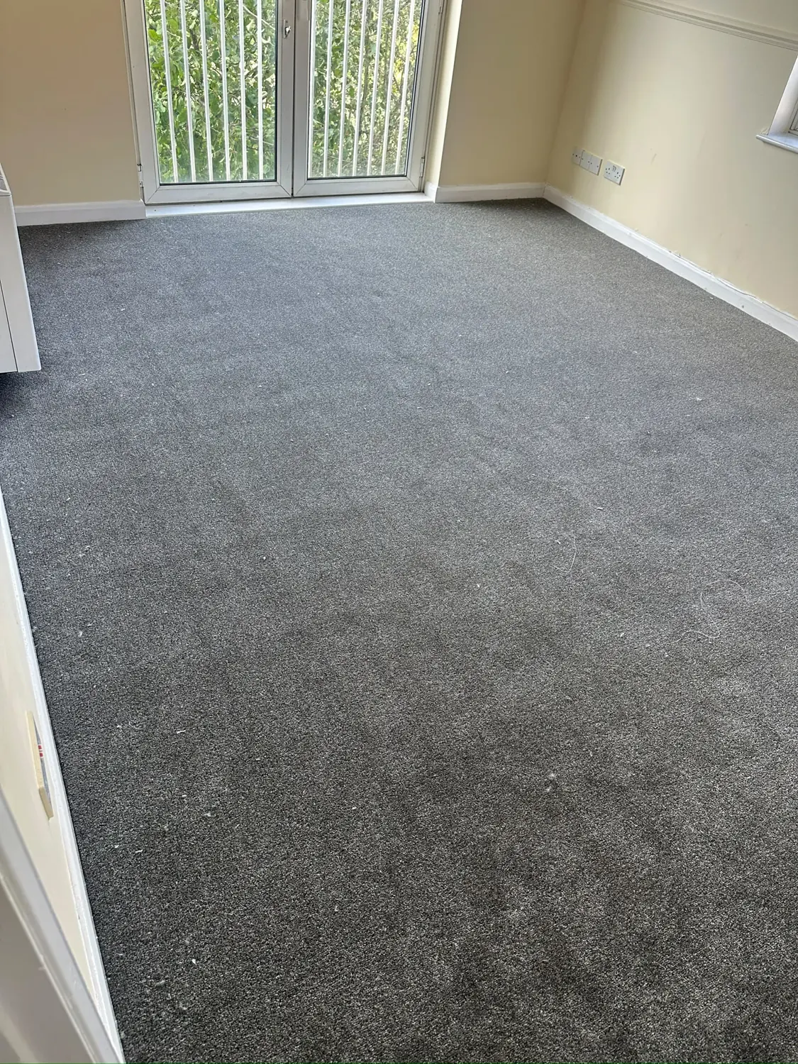 A fresh carpet finish for a bright bedroom.