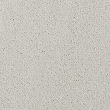 Westex Evoke Velvet – Ivory Echo flooring sample