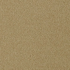 Westex Fine Westex Twist – Grafton Gold flooring sample