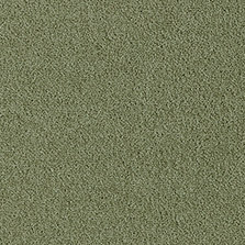 Westex Fine Westex Twist – Monkwood Moss flooring sample