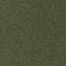 Westex Fine Westex Twist – Ombersley Olive flooring sample