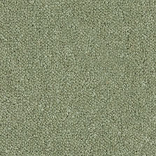 Bayleaf