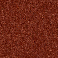 Burnt Orange