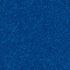 Gentian