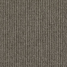 Iron